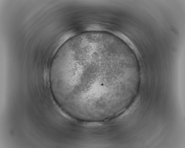 X0000114501337200911091102