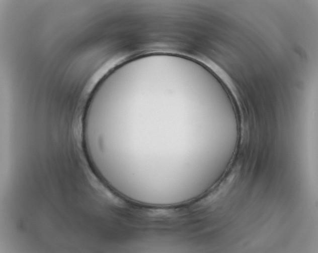 X0000114501341200911091102