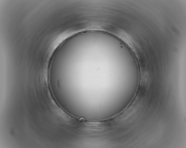 X0000114501342200911091102