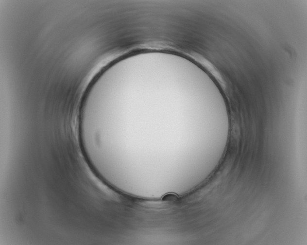 X0000114501343200911091102