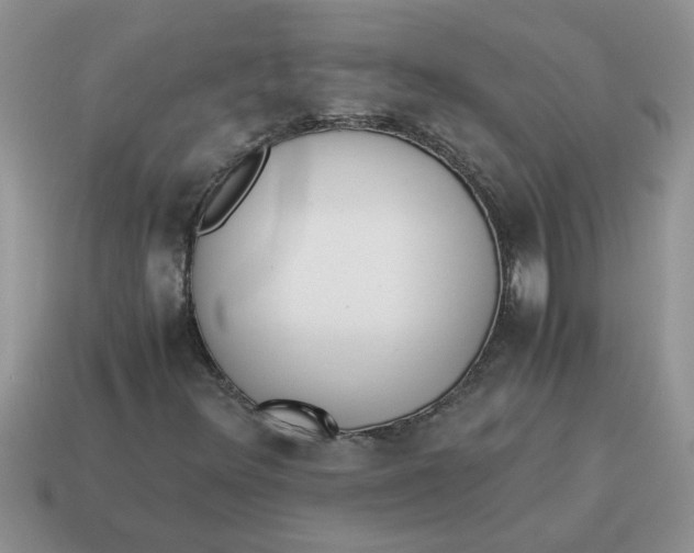 X0000114501348200911091101