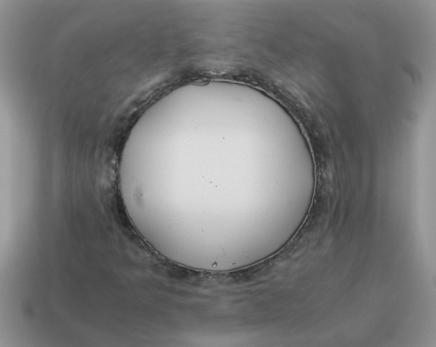 X0000114501349200911091101