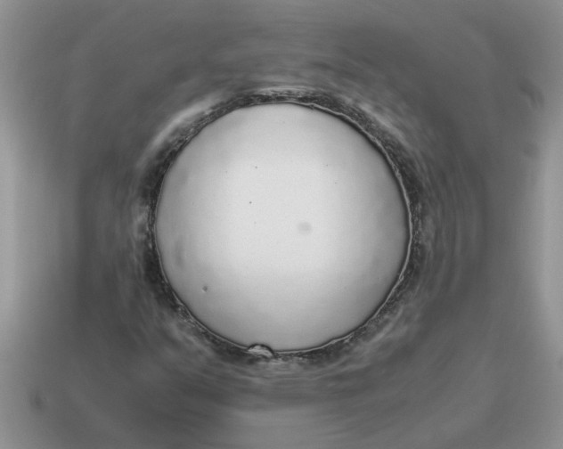 X0000114501351200911091101