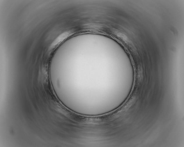 X0000114501354200911091101