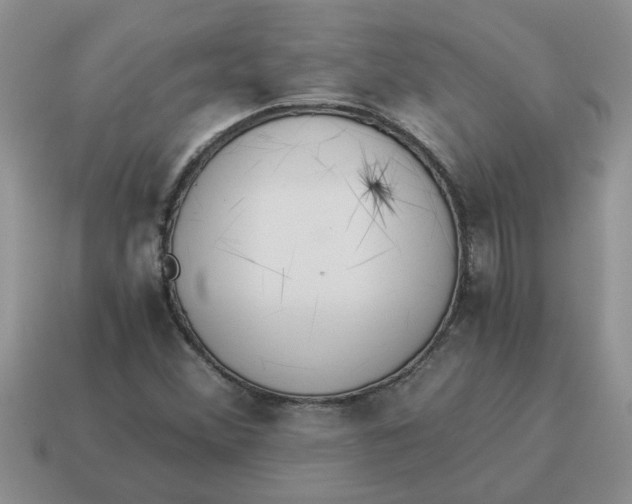 X0000114501356200911091101