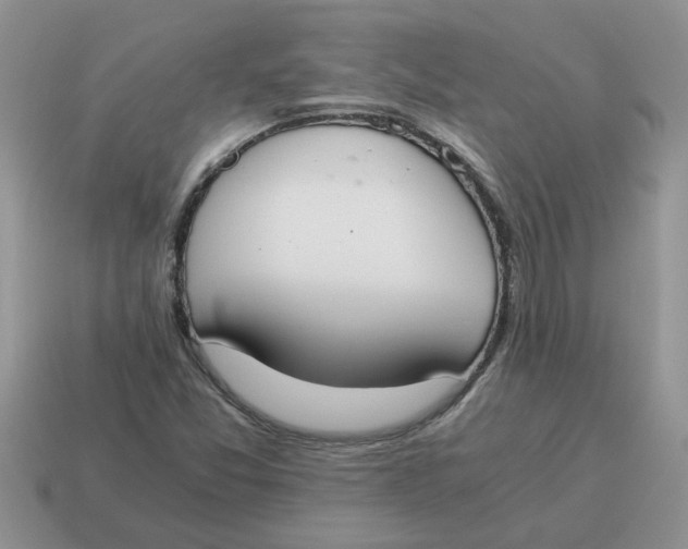 X0000114501357200911091101