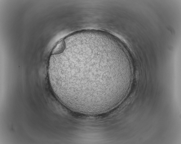 X0000114501359200911091101