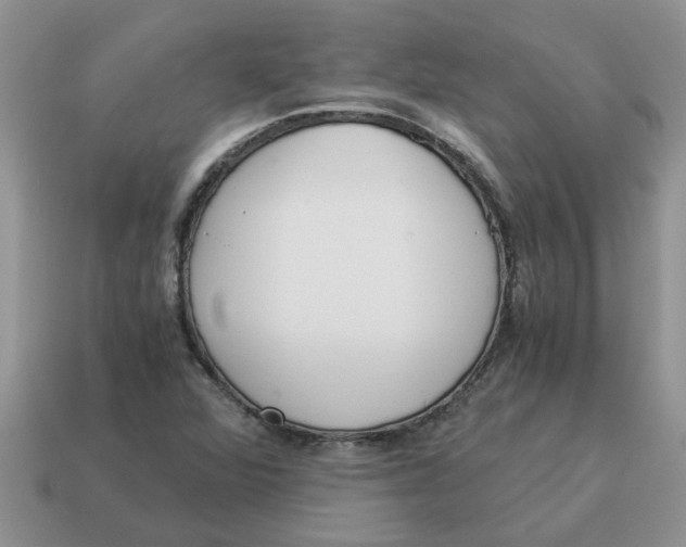 X0000114501360200911091101