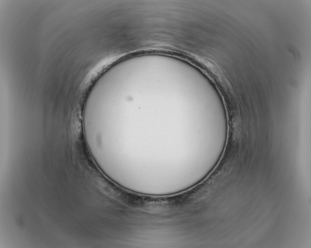 X0000114501363200911091101