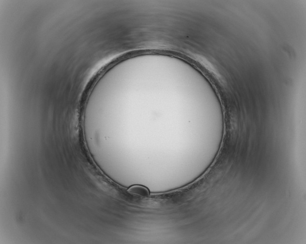 X0000114501364200911091101