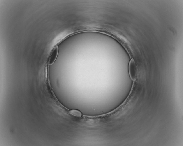 X0000114501365200911091101