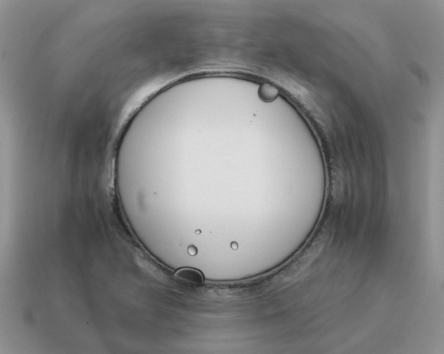 X0000114501366200911091101