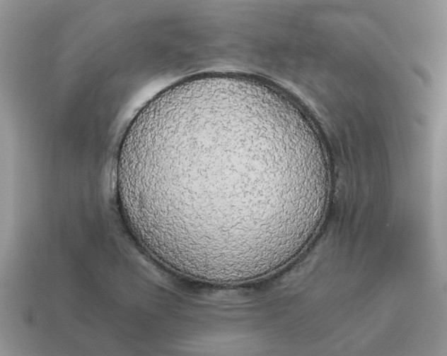 X0000114501367200911091101