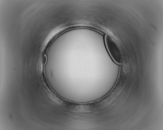 X0000114501368200911091101