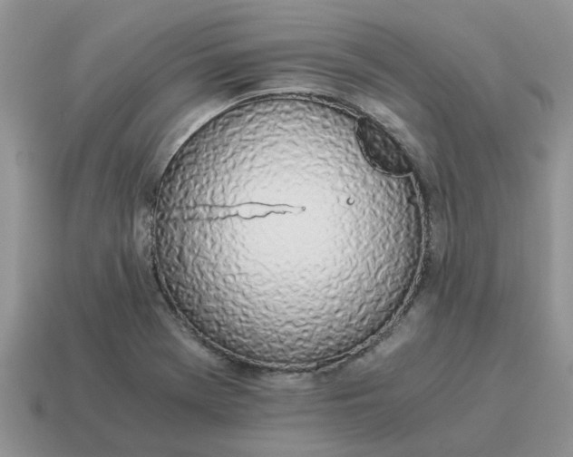 X0000114501369200911091101