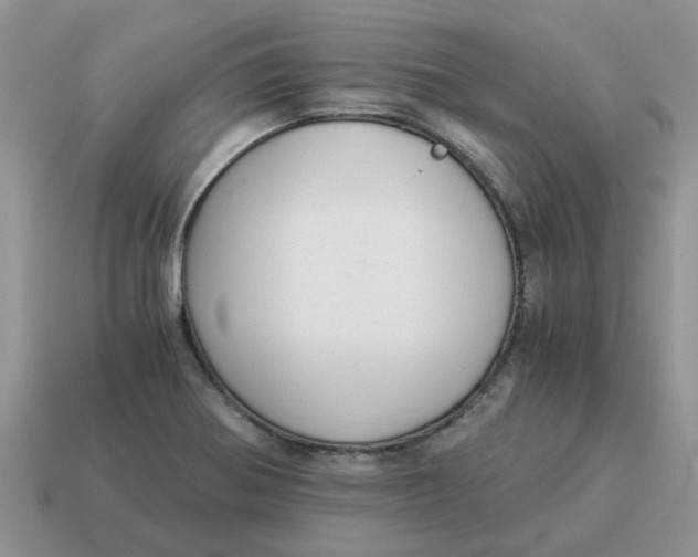 X0000114501370200911091101