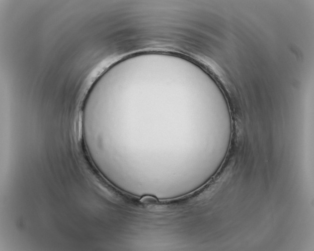 X0000114501371200911091101