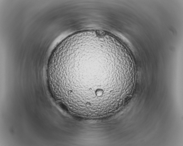X0000114501373200911091101