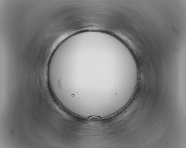 X0000114501375200911091101