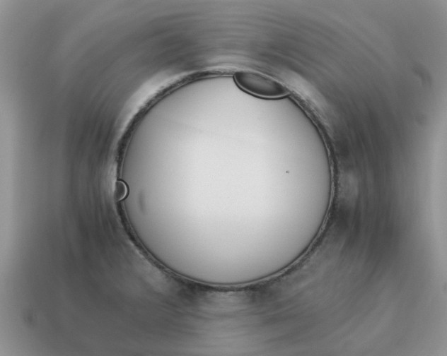 X0000114501376200911091101