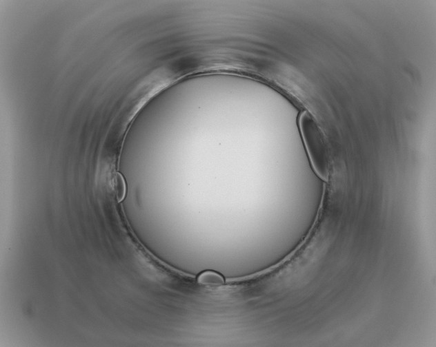 X0000114501377200911091101