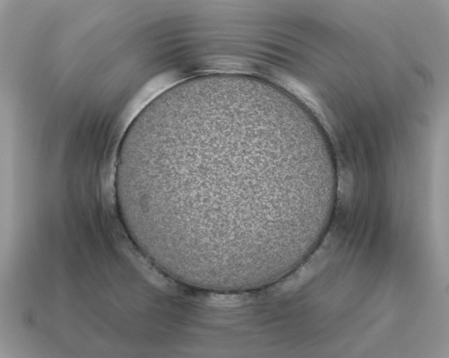 X0000114501378200911091101