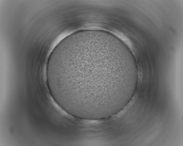 X0000114501382200911091101