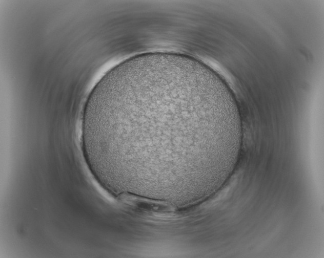 X0000114501383200911091101
