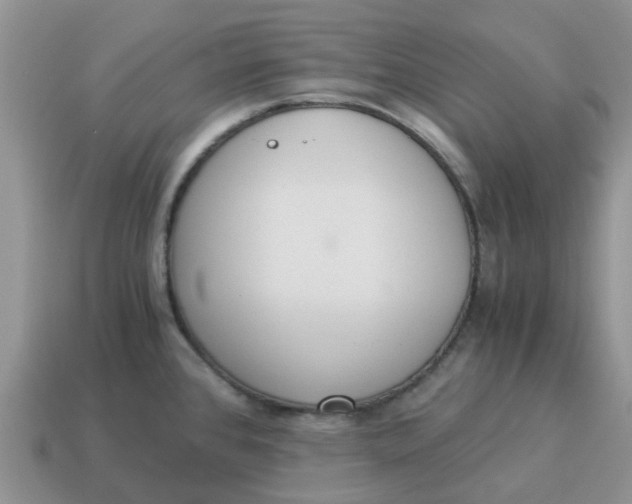 X0000114501384200911091101
