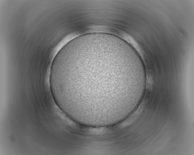 X0000114501386200911091101