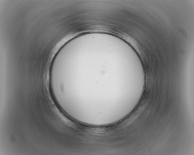 X0000114501387200911091101