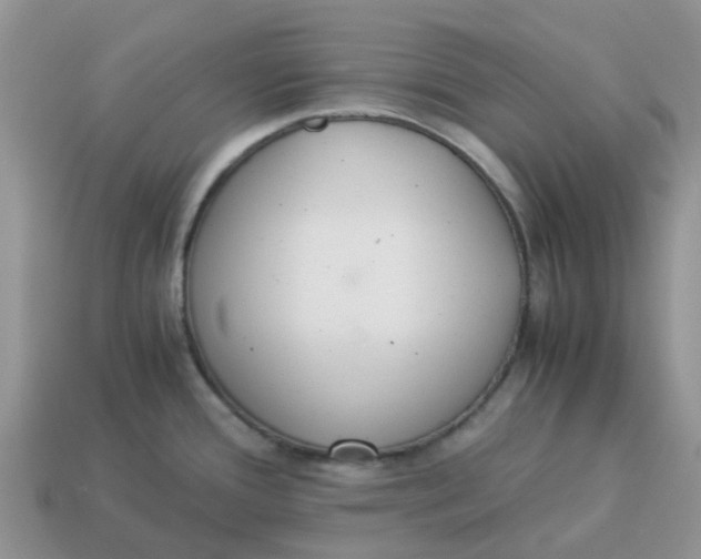X0000114501388200911091101
