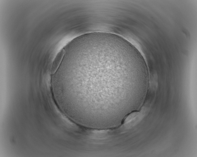 X0000114501389200911091101