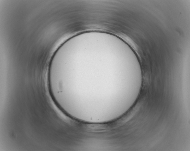X0000114501391200911091101