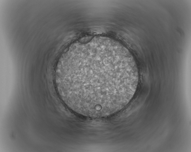 X0000114501393200911091100