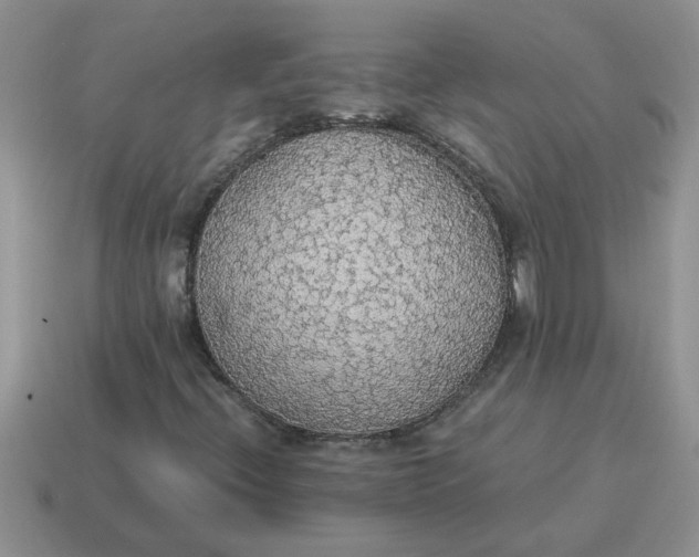 X0000114501396200911091100