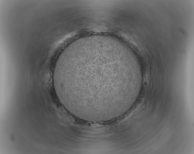 X0000114501398200911091100