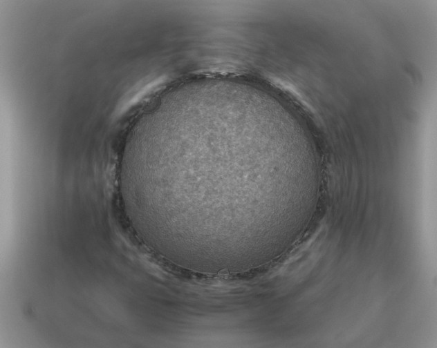 X0000114501399200911091100