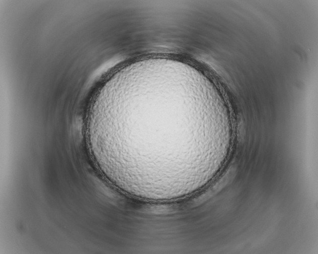 X0000114501402200911091100