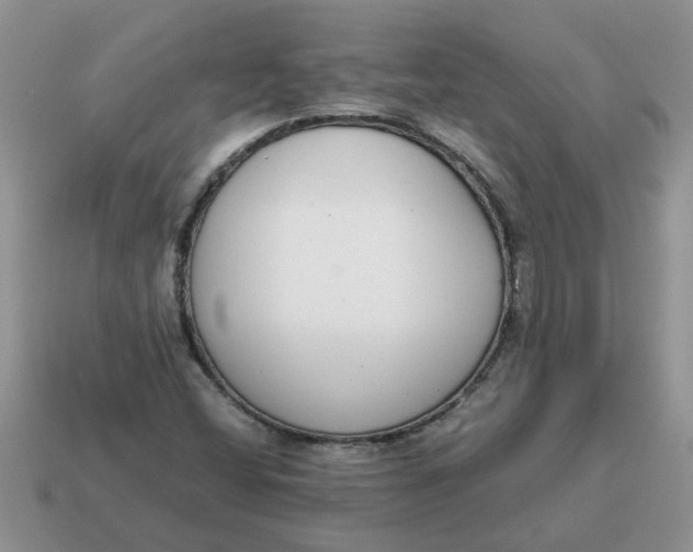 X0000114501404200911091100