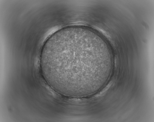 X0000114501405200911091100