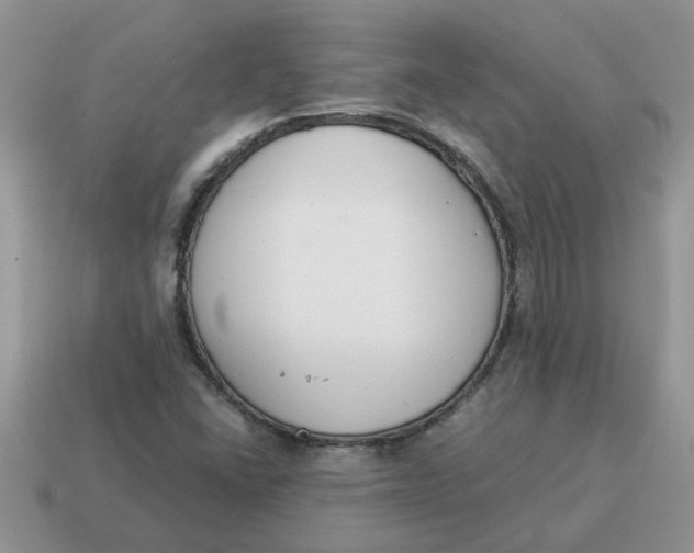 X0000114501406200911091100