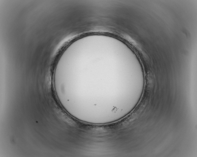 X0000114501408200911091100