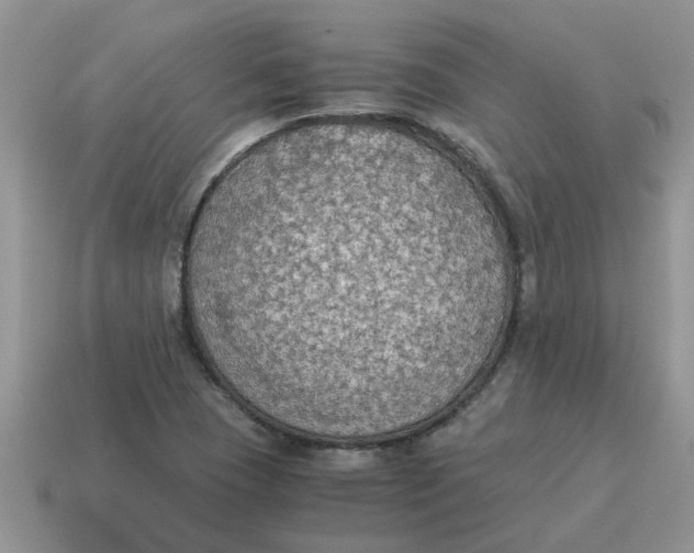 X0000114501409200911091100