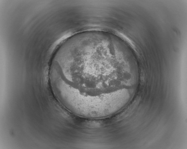 X0000114501411200911091100