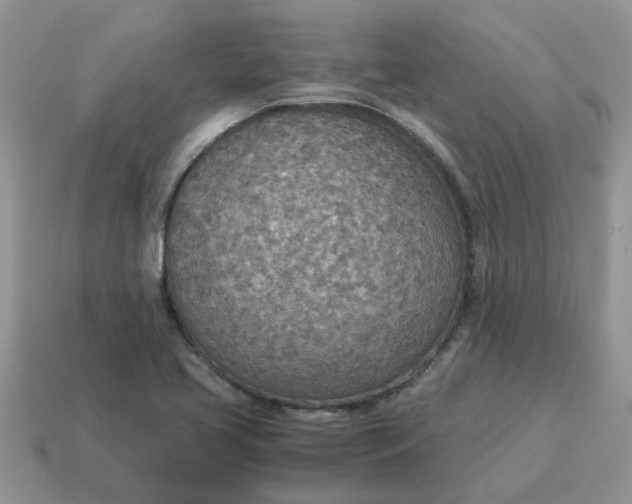 X0000114501413200911091100
