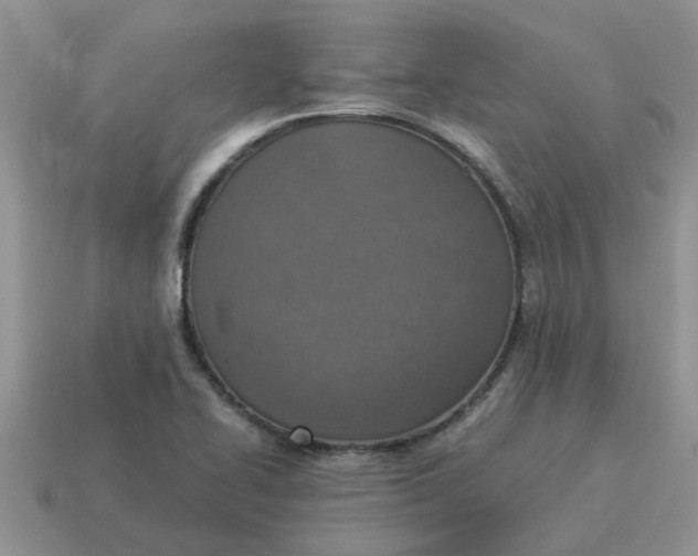 X0000114501414200911091100