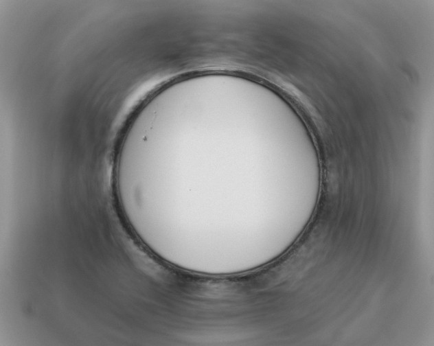 X0000114501416200911091100