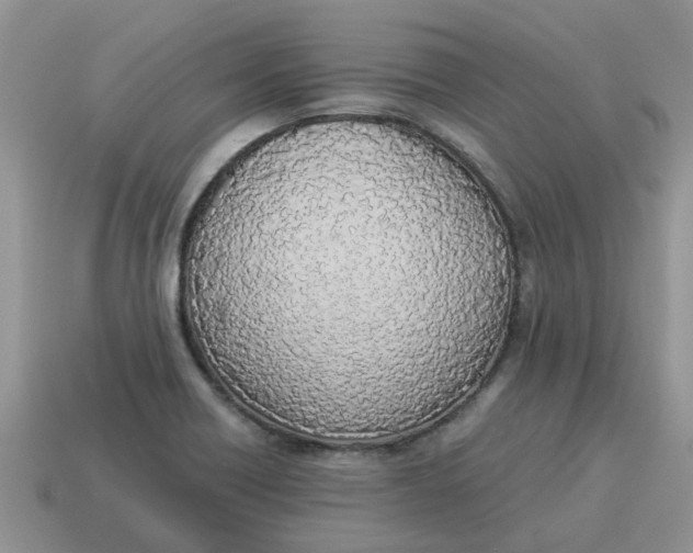 X0000114501418200911091100