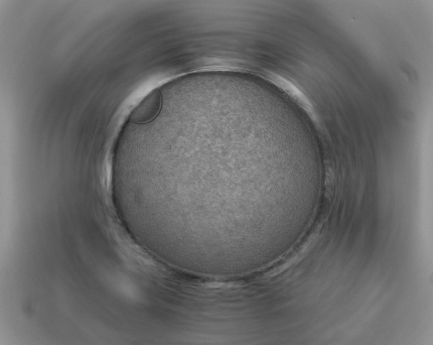 X0000114501419200911091100